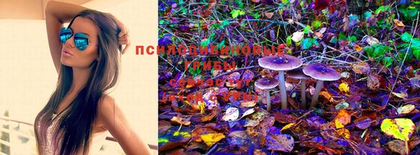 шишки Семилуки