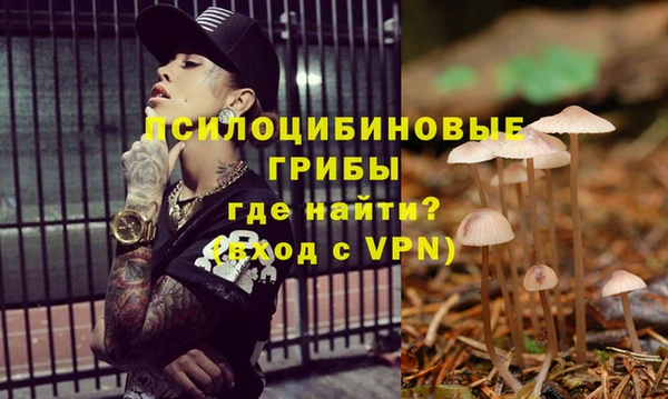 бошки Балахна